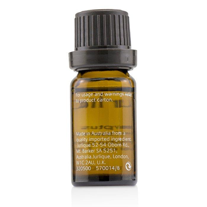 Eucalyptus Pure Essential Oil - 10ml/0.35oz