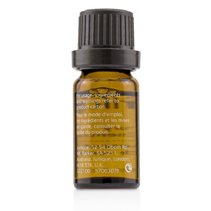 Rosemary Pure Essential Oil - 10ml/0.35oz