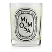 Scented Candle - Mimosa - 190g/6.5oz