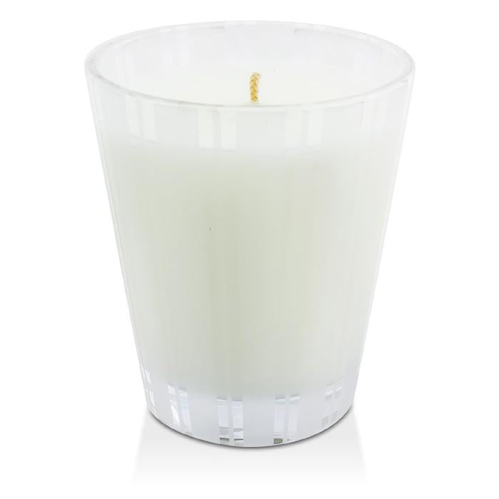 Scented Candle - Moss & Mint - 230g/8.1oz