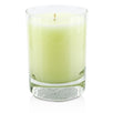 Fragrance Candle - Skylight - 283g/10oz