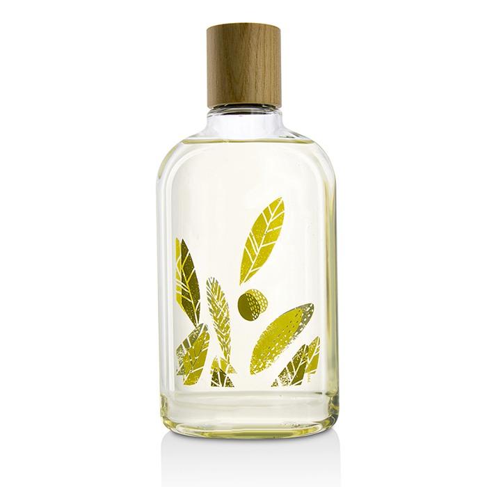 Olive Leaf Body Wash - 270ml/9.25oz