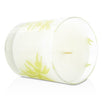 Aromatic Candle - Olive Leaf - 9oz