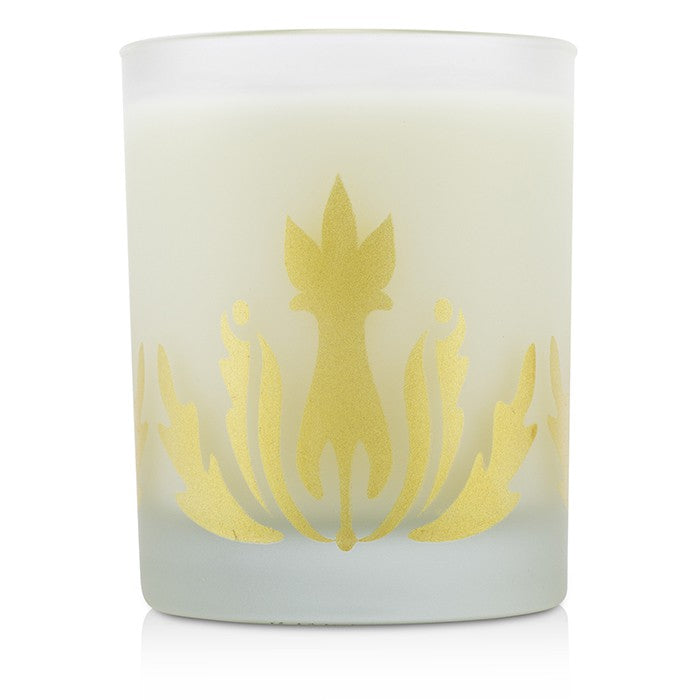 Soy Candle - Koke'e - 240ml/8oz