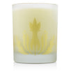 Soy Candle - Mango Nectar - 240ml/8oz