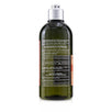 Aromachologie Intensive Repair Shampoo (damaged Hair) - 300ml/10.1oz