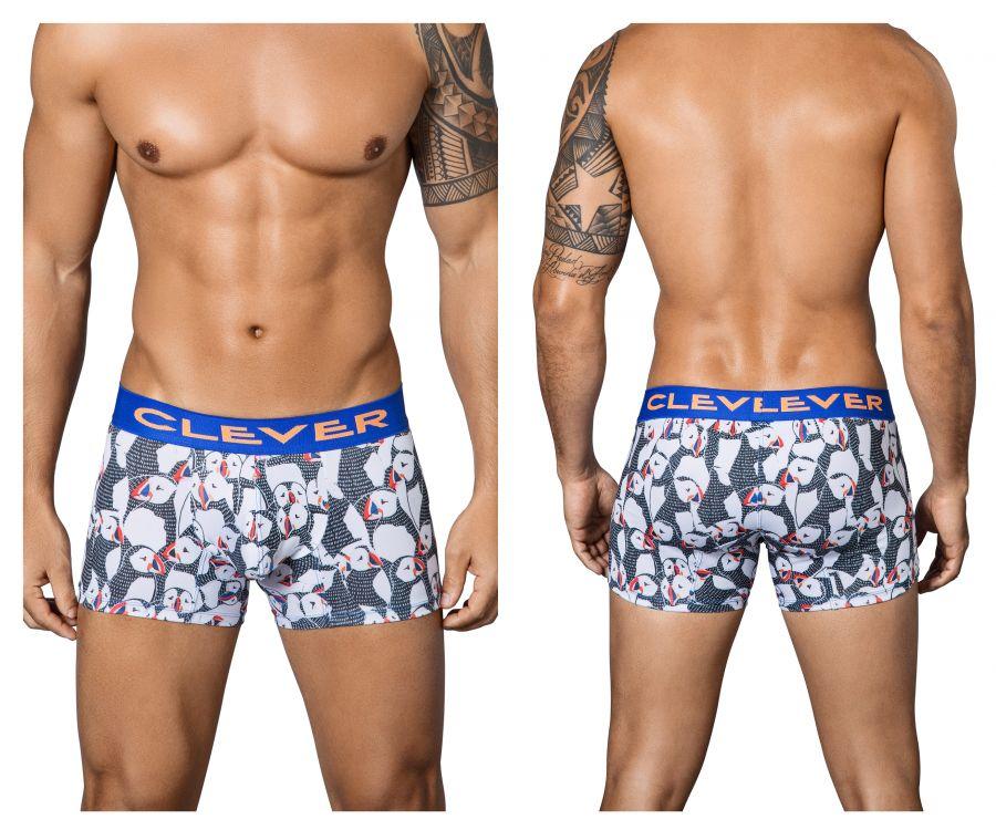 Artic Boxer Briefs