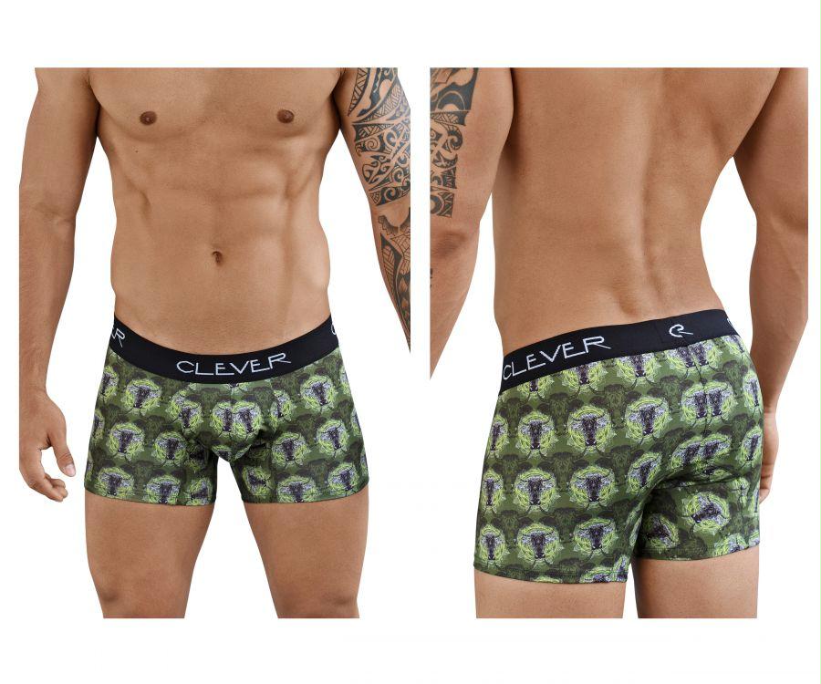 Artemisia Boxer Briefs