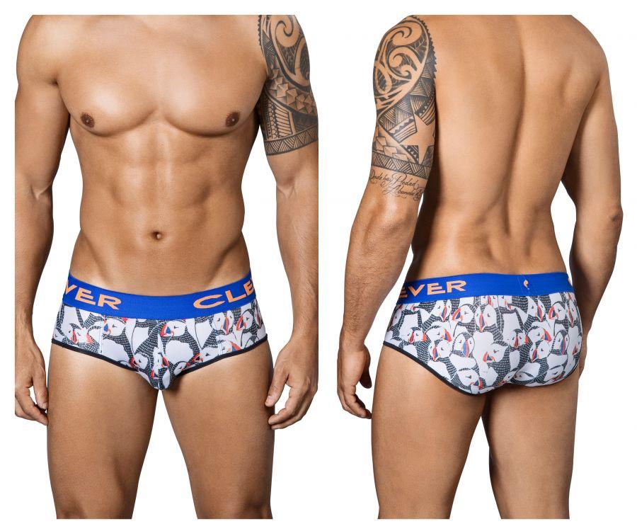 Artic Piping Briefs