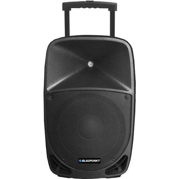 12-Inch Powered Speaker