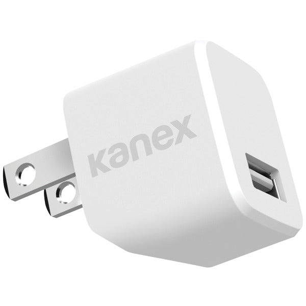 1-Amp Mini USB Wall Charger