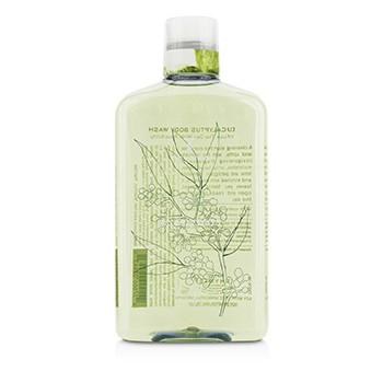 Eucalyptus Body Wash - 270ml/9.25oz