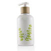 Eucalyptus Hand Lotion - 240ml/8.25oz