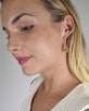 Crystal Studded Lever Back Drop Earrings id.31479