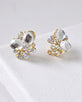 Crystal and Rhinestone Studded 3D Design Earrings