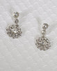 Tear Drop Shaped Crystal and Stone Studded Danglers