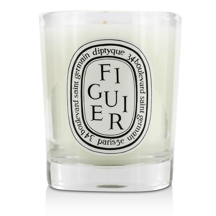 Scented Candle - Figuier (fig Tree) - 70g/2.4oz