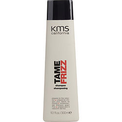 Tame Frizz Shampoo 10.1 Oz