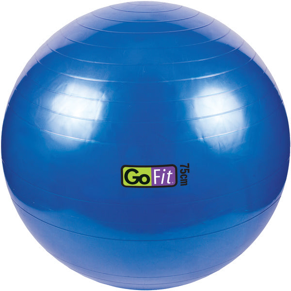 Exercise Ball with Pump (75cm; Blue)