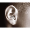 Music;�PRO(R) Electronic Earplugs;