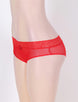 Sexy Holiday Peek A Boo Back Mesh Crotchless Valentines Panty