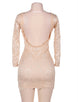 Nude Lace Long Sleeve V-Neck Bodycon Dress